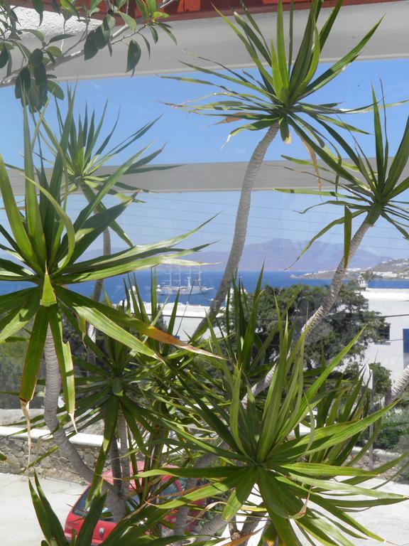 Hotel Anastasios Sevasti Mykonos Town Exterior foto